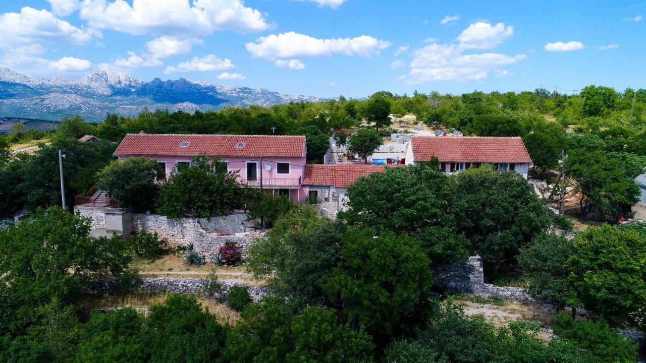 Villa Marina Krusevo-Zadar Eksteriør billede
